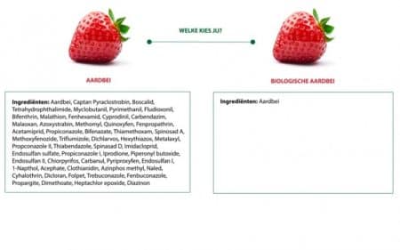 Lees meer over het artikel Welke aardbei eet jij?